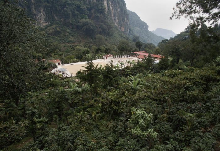 グァテマラ・ラ・ボルサ - ラボカフェ